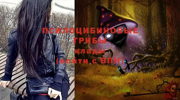 амф Беломорск