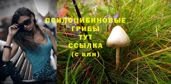 амф Беломорск