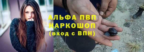 амф Беломорск